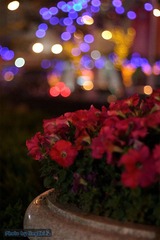 Bokeh in 陆家嘴