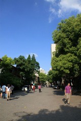 IMG_0498.jpg