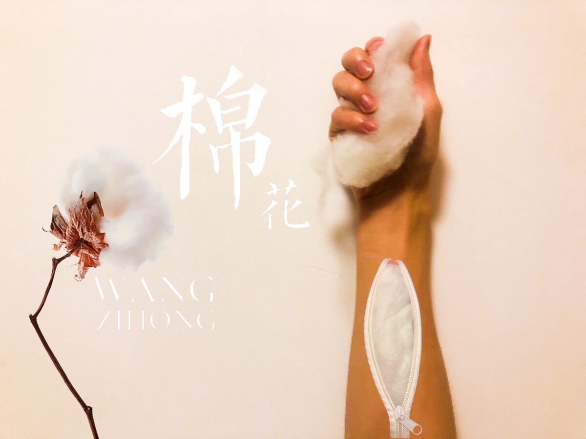我支持新疆棉花，棉花创意照片