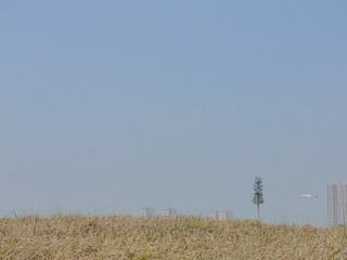 3518445