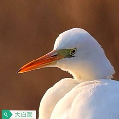 472060