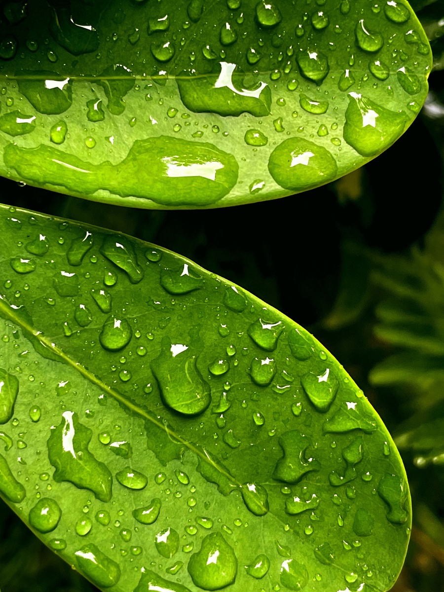 900_1200竖版 竖屏