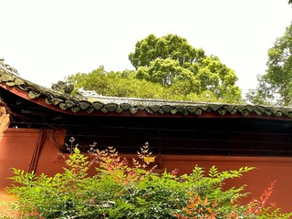 9D962D89-3773-4740-848D-5C427A6D2C97/L0/001