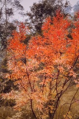 C260F1A9-A450-48CC-96EC-D80345098A74/L0/001