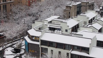 P2190192.jpg