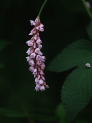 8A654132-8CE7-4439-B502-D35131705979/L0/001