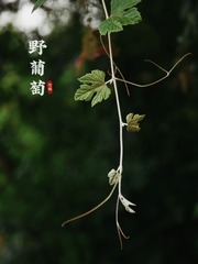 3F348171-3733-44F8-9078-EDD8094F8EE6/L0/001