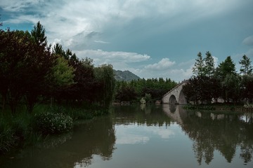 335329