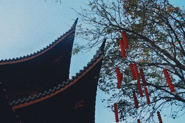 F9E4E036-873C-4B0C-A9EB-3A0CE30B5C66/L0/001