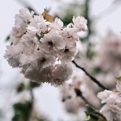 C0E60175-E922-4611-96D1-53EC9EB61554/L0/001