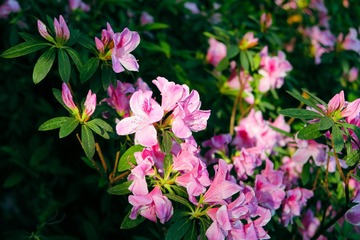 C634D6E7-D4B2-42C8-A277-440F10BCACCE/L0/001
