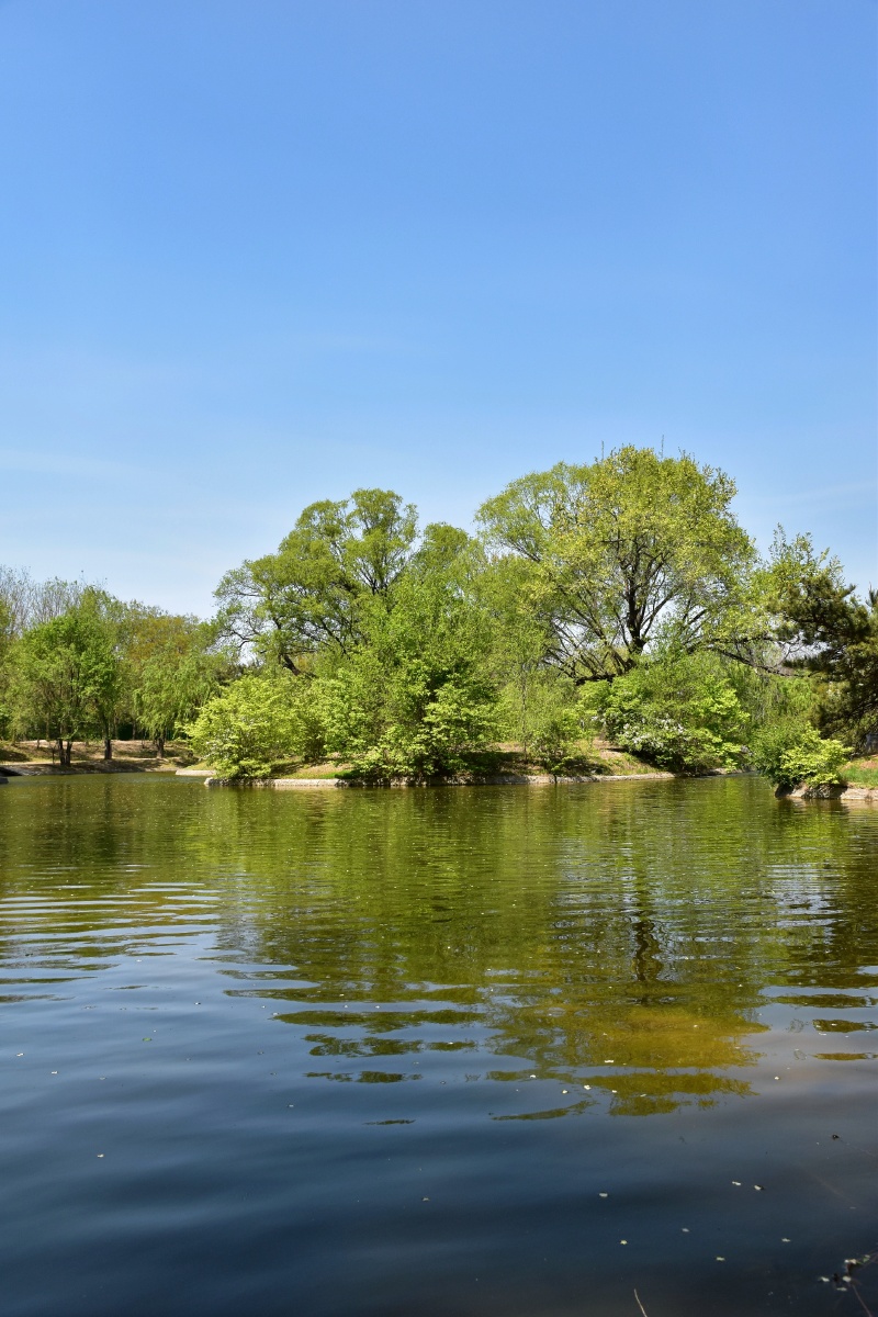 美丽风景都在奥林匹克公园北区
