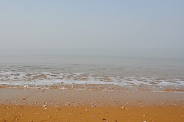24F8A39A-2D70-49E4-81F7-0E34E06FFB4B/L0/001