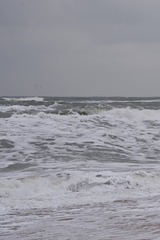F434435E-BC57-4EE5-BDF9-394D741B70BA/L0/001