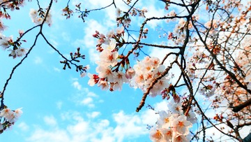 19CE214F-6EF4-44D0-85B6-620C652D8968/L0/001