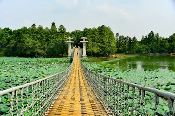 1208203
