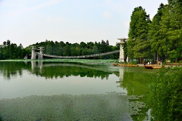 1208202