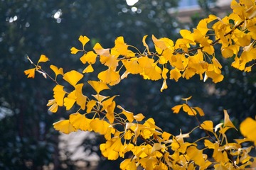 1209304