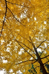 1209303