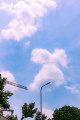2767831