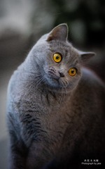 101087
