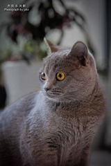 101092