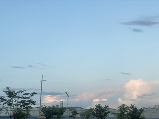 570794B9-A703-4AAD-8D57-9A4BF6C79AE9/L0/001