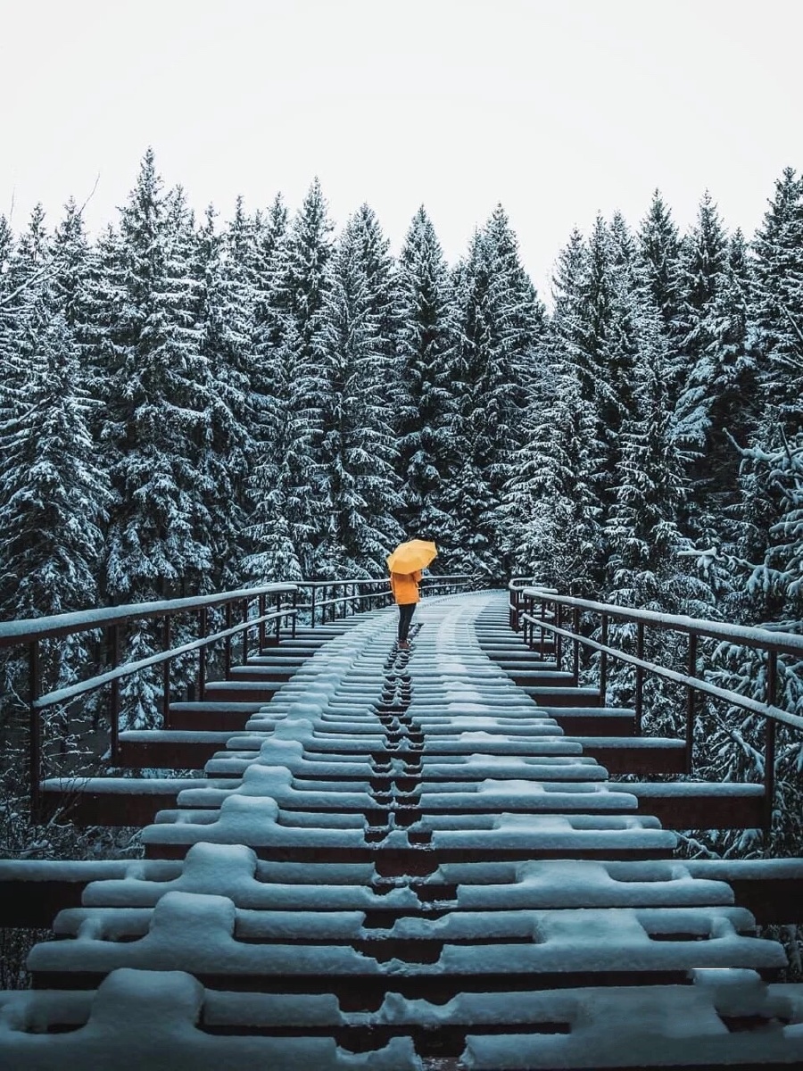 冬季已过,来一组孤冷的感觉