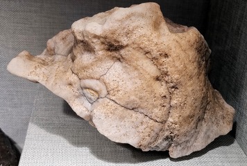 1780763