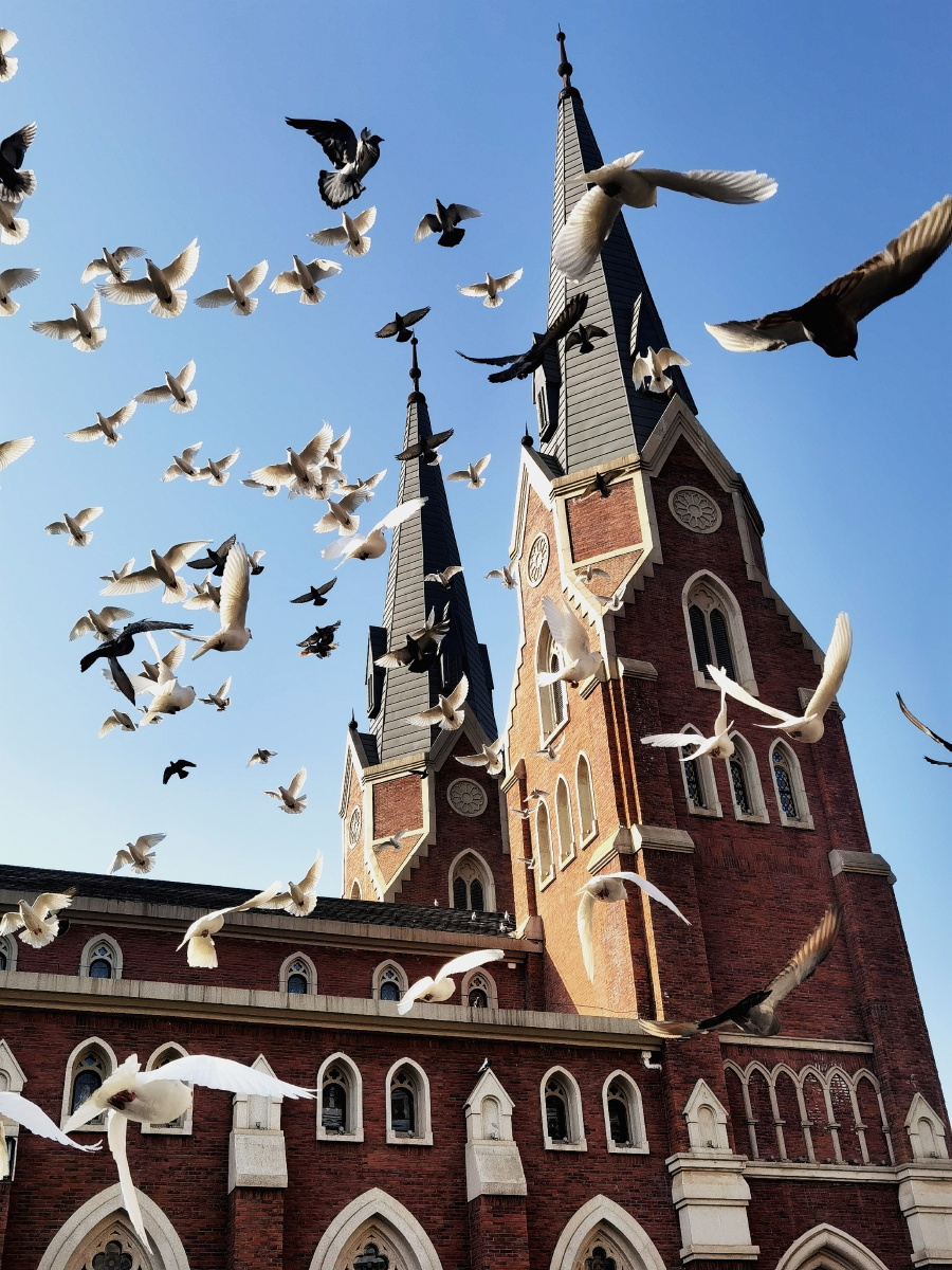 教堂与鸽子