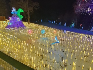 1000028649