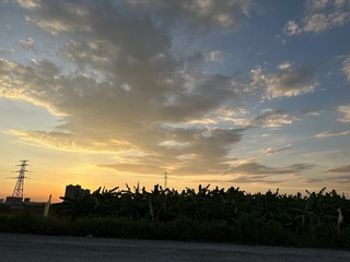 7CB8B060-1664-42B7-B4B0-F9333DC2E1C2/L0/001