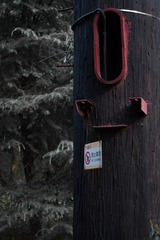 1536363