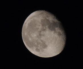 4E685772-47FB-443A-BDF6-407221E5C842/L0/001