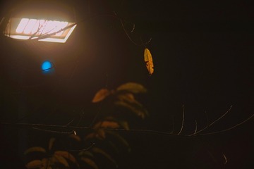 1A03069B-DDD8-4CA5-8411-859F907E8250/L0/001