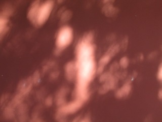 1000024360