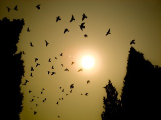 FA6D710E-A6E2-4DDE-B4D9-88550D6B39DF/L0/001