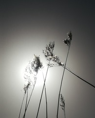 2060654