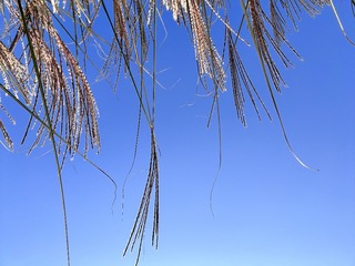 2F8D5DAA-3703-404F-A49C-6928300AD5F5/L0/001