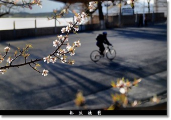 骑友