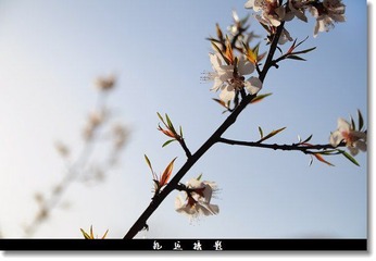 虚实明暗