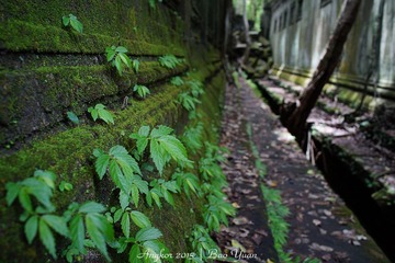DSC06357.jpg