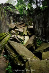 DSC06327.jpg