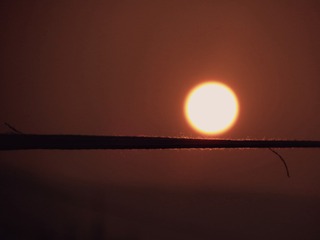 63944