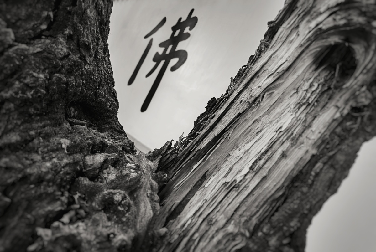 佛说万物皆空可度过春夏秋冬