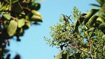08AB44FE-DF1A-456F-A079-6AC8C36D89E7/L0/001