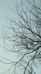 20B516C7-3359-4110-8FC1-D953299E57EE/L0/001