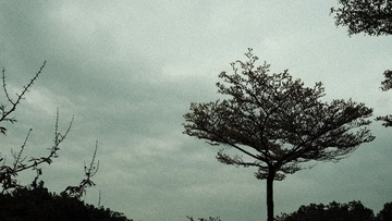DA4F6FCE-3B4B-499F-8CBF-0F69EB1FC9B4/L0/001