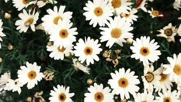 26CD6477-D5A8-49FD-8F9F-31330B4DFBB0/L0/001