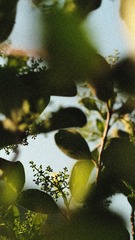 BC77BA30-65BA-413D-A1D4-CC077E0841CA/L0/001